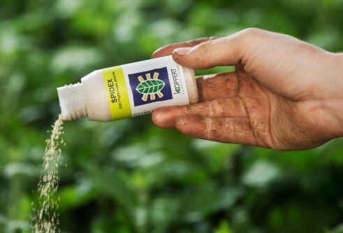 Let op spintuitbraken