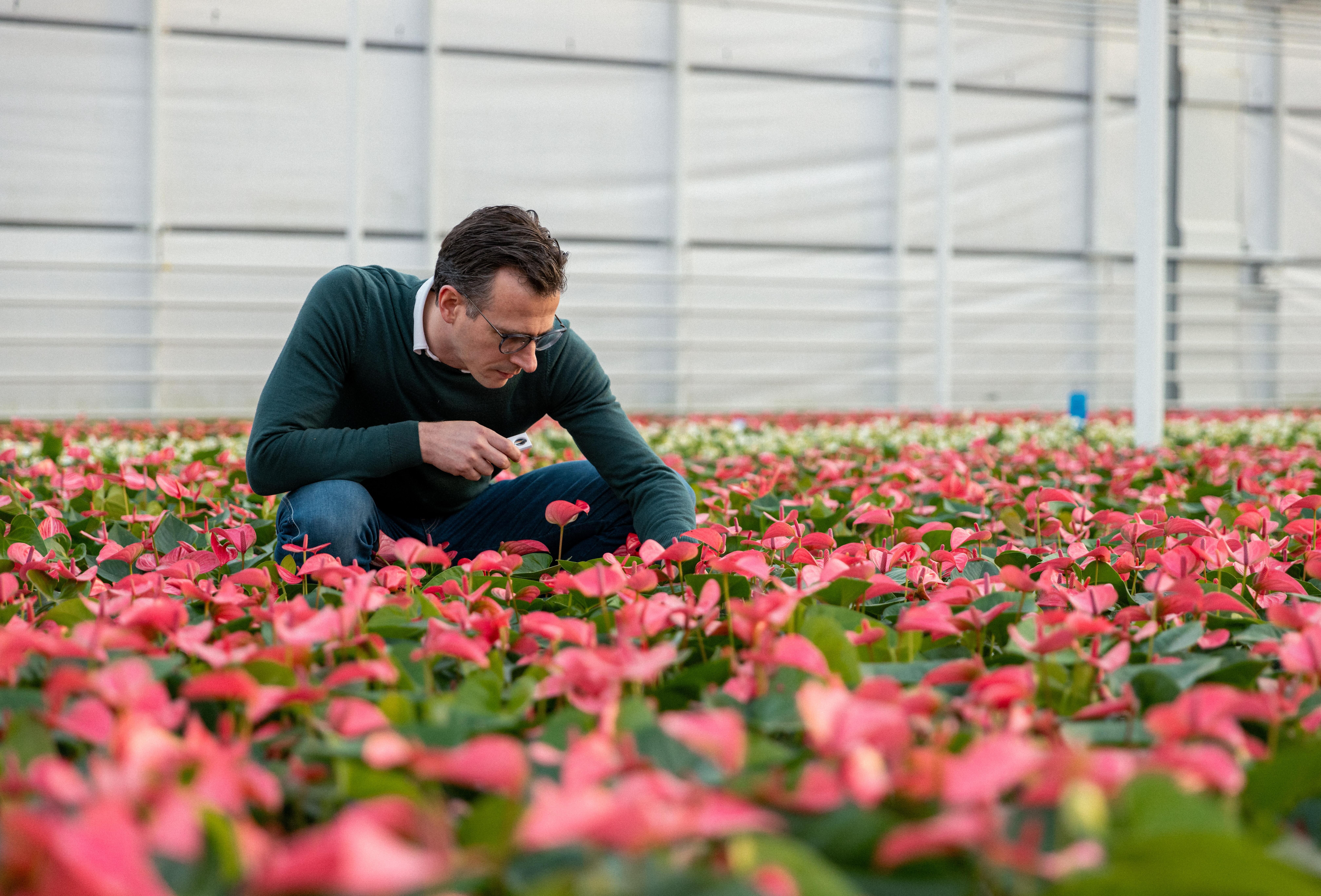 Een nalatenschap van duurzaamheid: De gedeelde visie van Stolk Brothers en Koppert