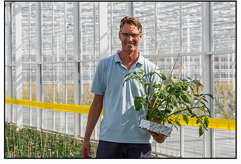 Succes, met preventieve aanpak tabakswittevlieg