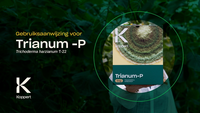 Video preview thumbnail