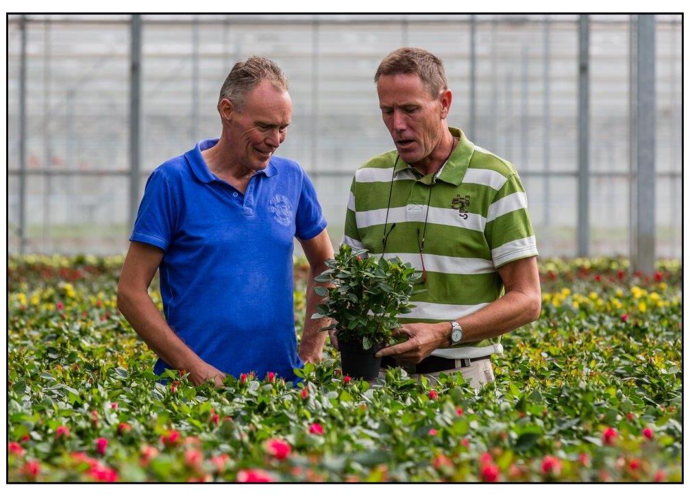 Een sterke beveiliging tegen Duponchelia