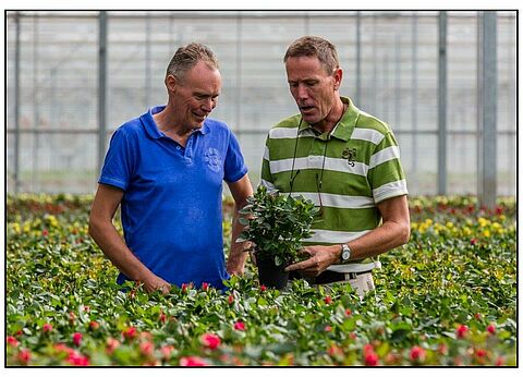 Een sterke beveiliging tegen Duponchelia