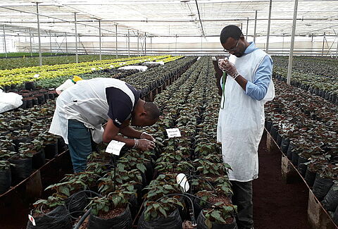Meer grip met IPM aanpak is een sleutel tot succes.