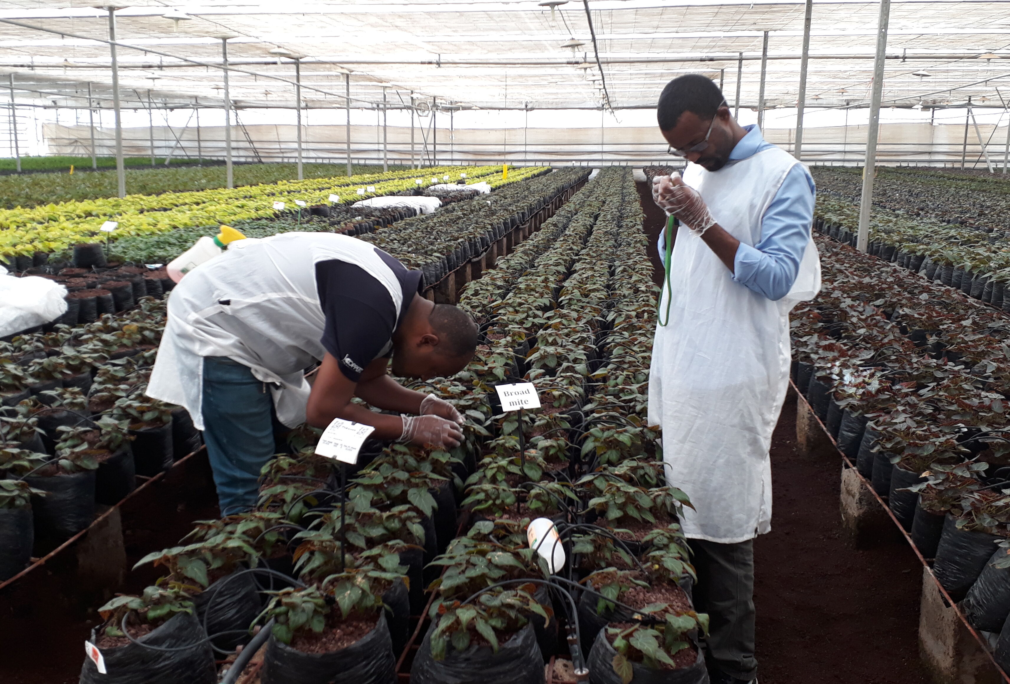 Meer grip met IPM aanpak is een sleutel tot succes.