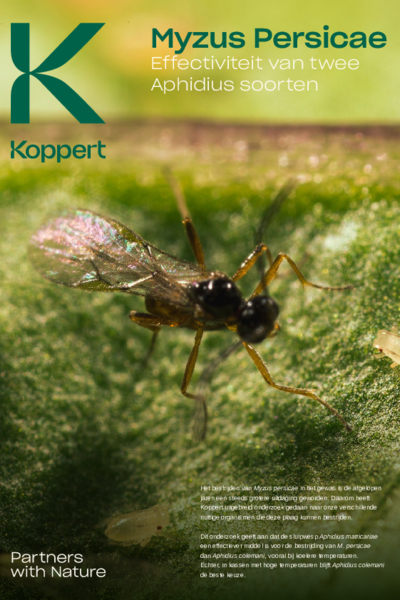 Aphidius Leaflet