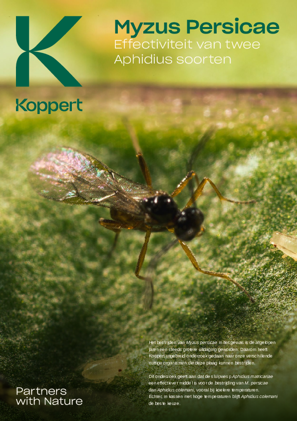 Effectiviteit van Myzus persicae