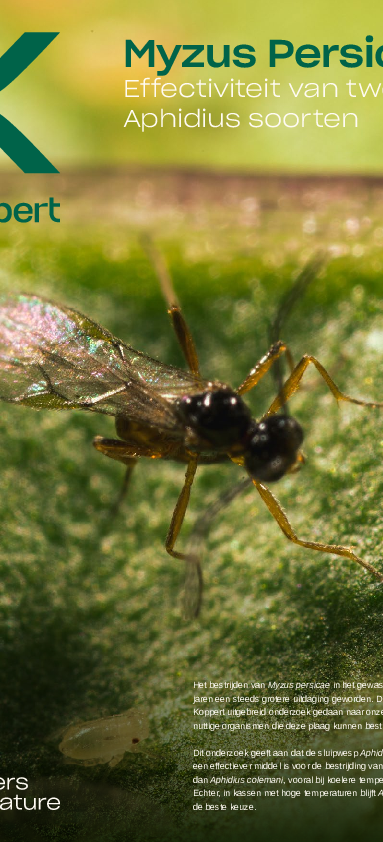 Effectiviteit van Myzus persicae