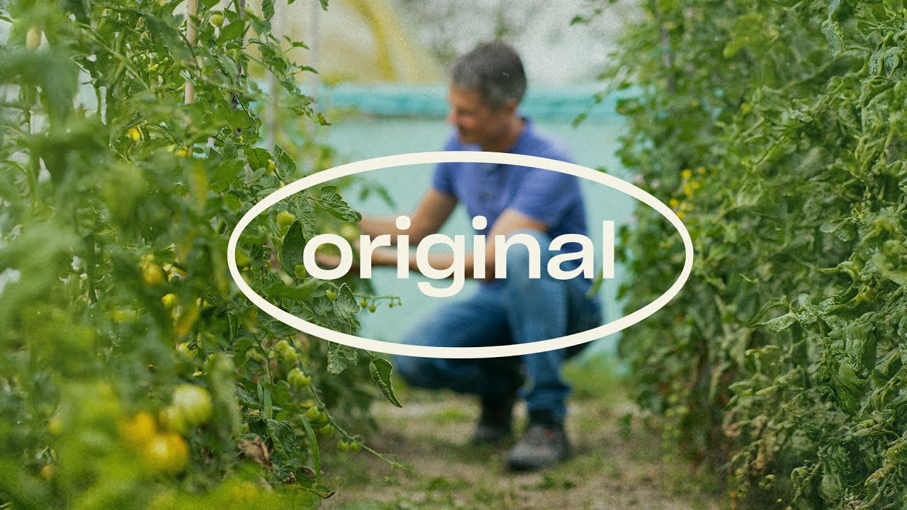 Tom Groot deelt hoe we voorop blijven lopen - Originele verhalen over roofmijten Tom Groot deelt hoe we voorop blijven lopen - Originele verhalen over roofmijten