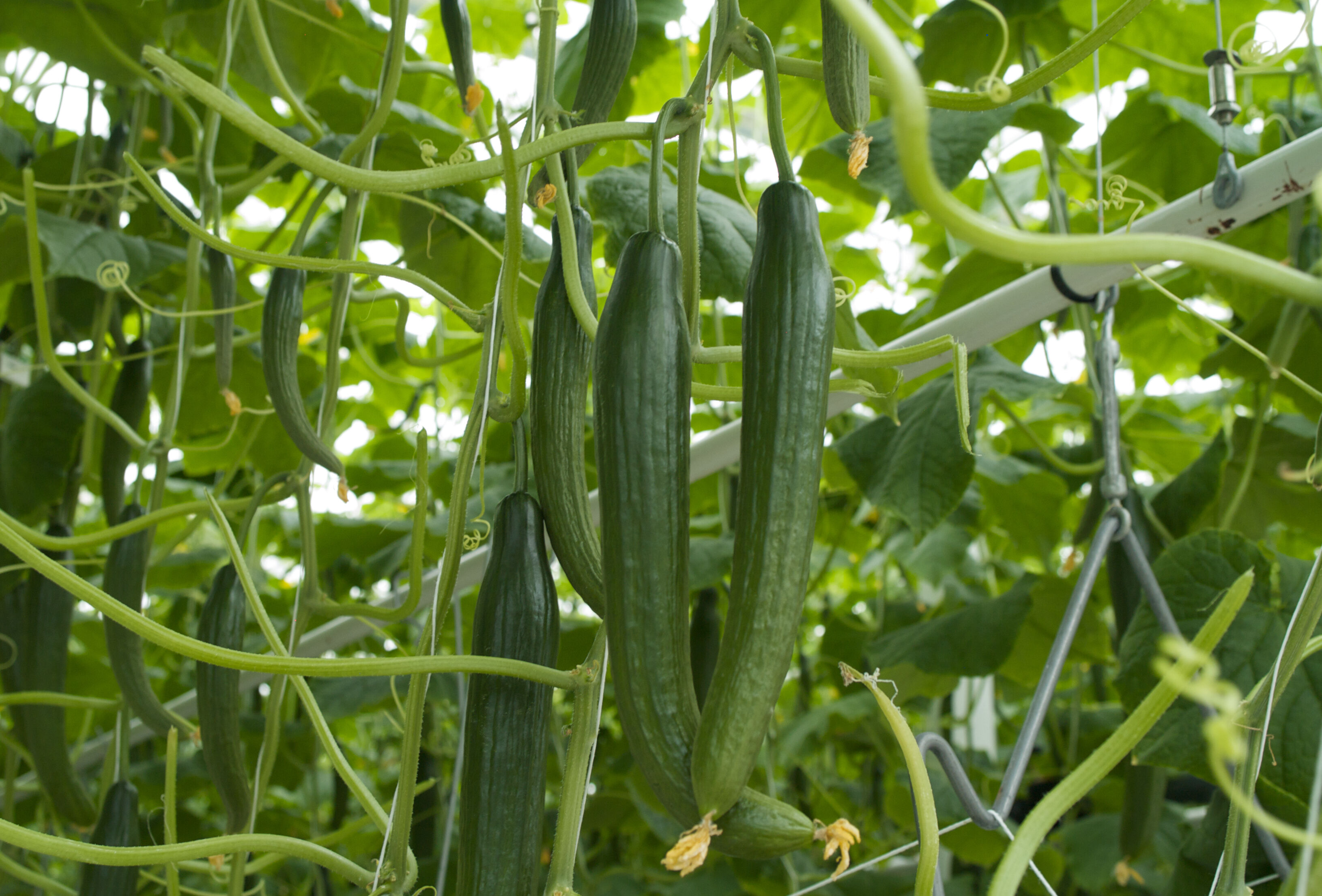 Terugkijken en leren, vooruitkijken en doen