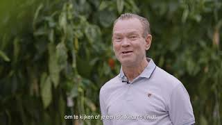 Zuidelijke groene stinkwants (Nezara viridula) bestrijden met Nezapar