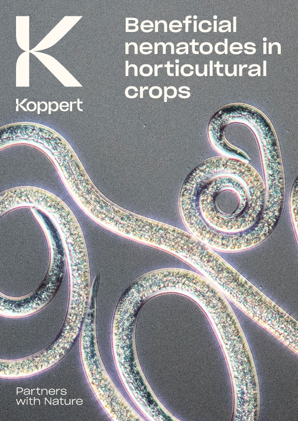 Beneficial Nematodes against Horticultural Pests