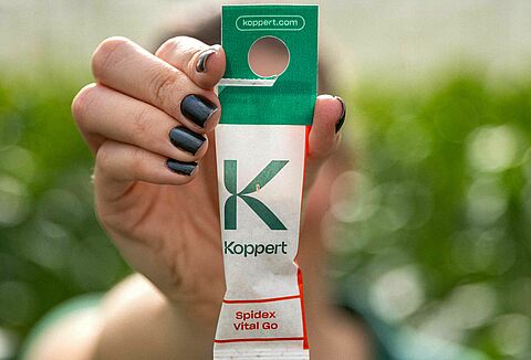 Spintbestrijding: juiste combinatie en timing maken het verschil