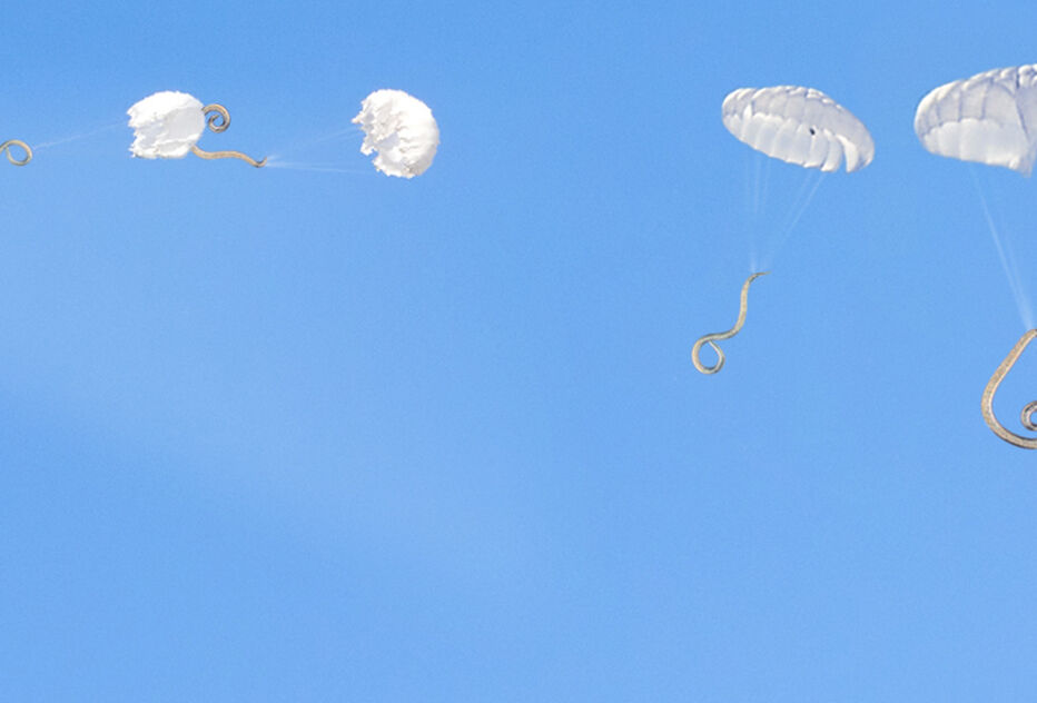 Nematoden nieuwe troef tegen rupsen