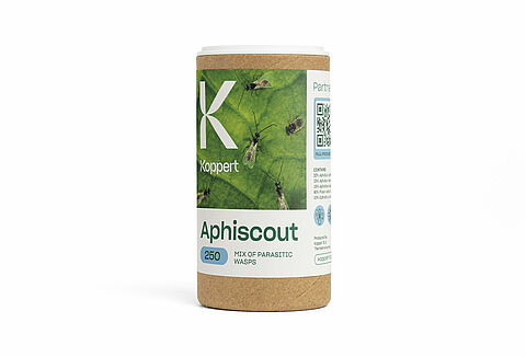 Aphiscout