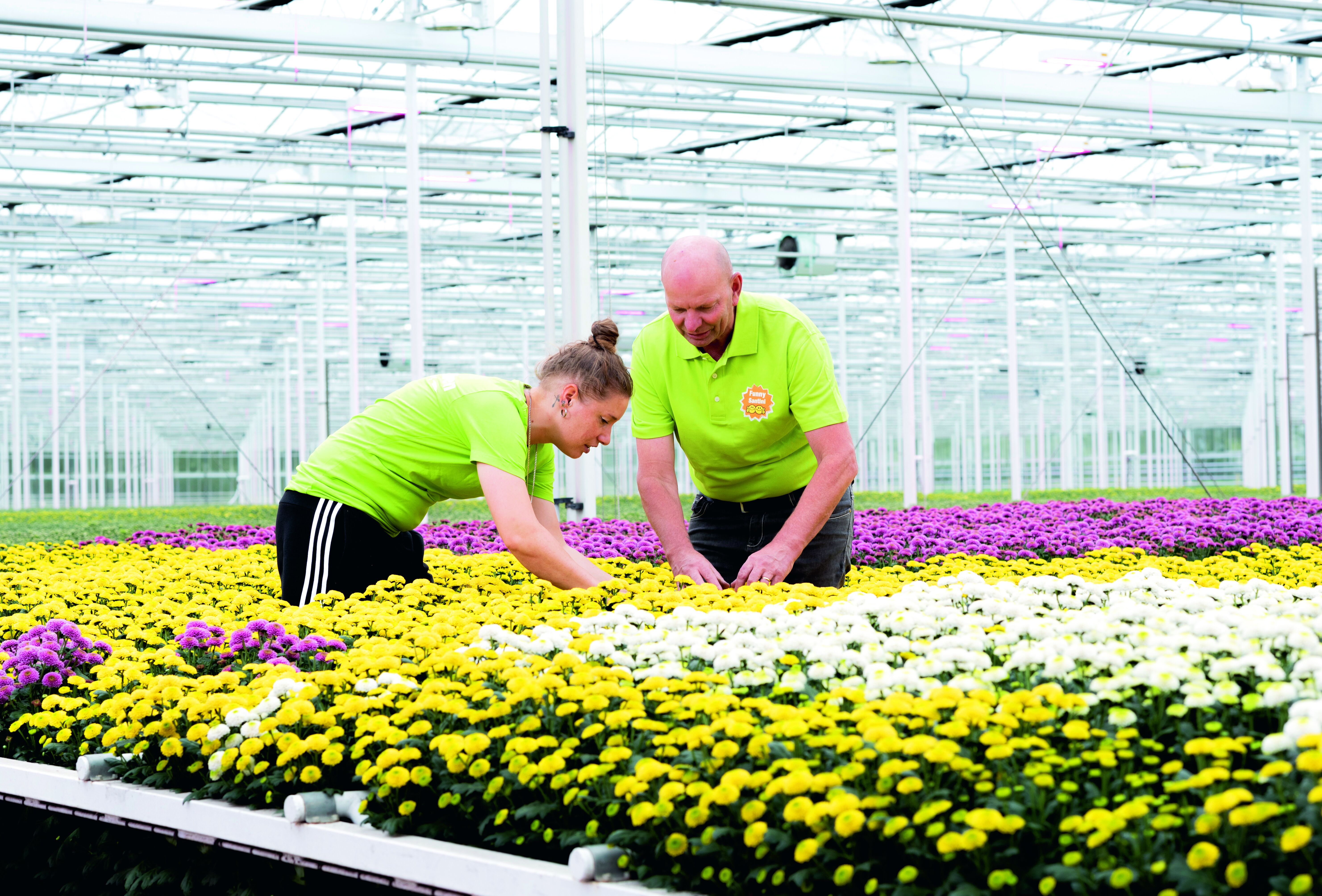 Jaarrond biologie brengt rust in de tent
