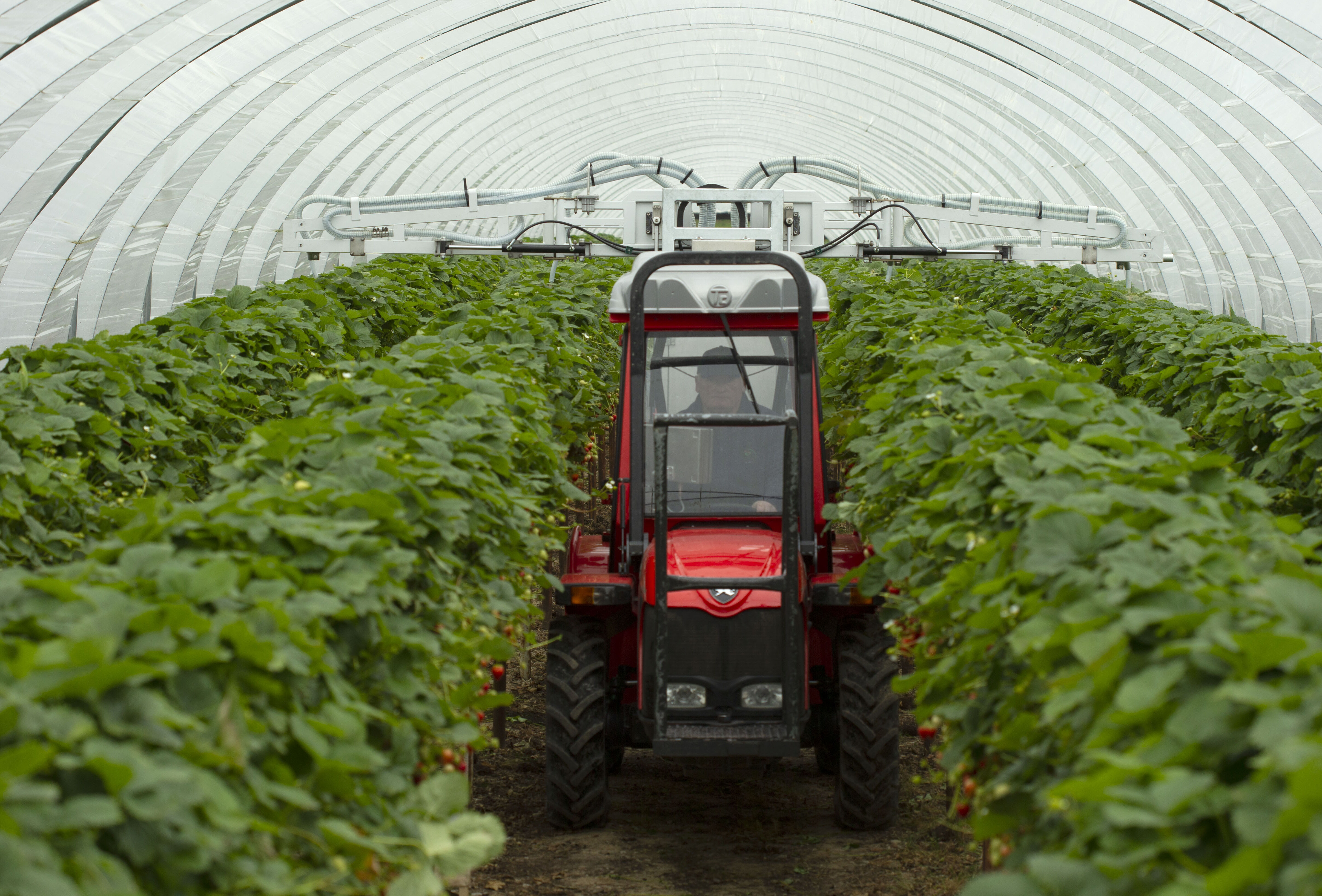 Koppert introduceert Natutec Drive