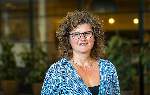 Limonica: the very best choice in roos