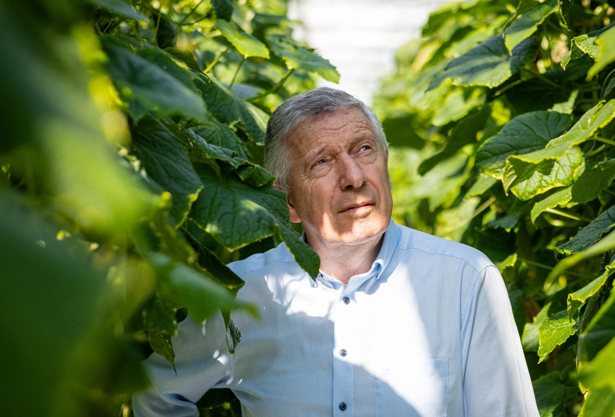 Hoe een kleine roofmijt de basis legde voor biologische gewasbescherming vandaag de dag