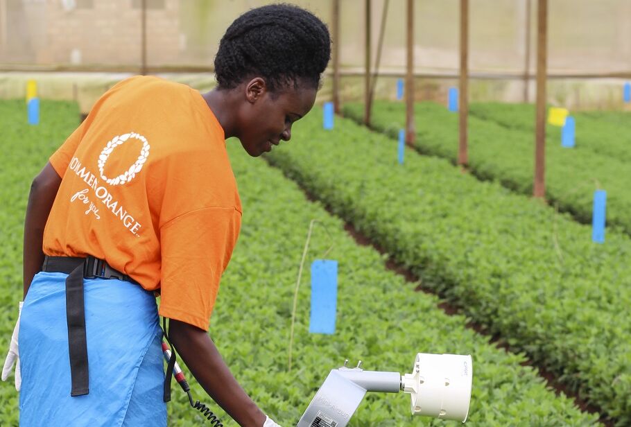 GreenGuard van Dümmen Orange: voor ketenbrede duurzaamheid