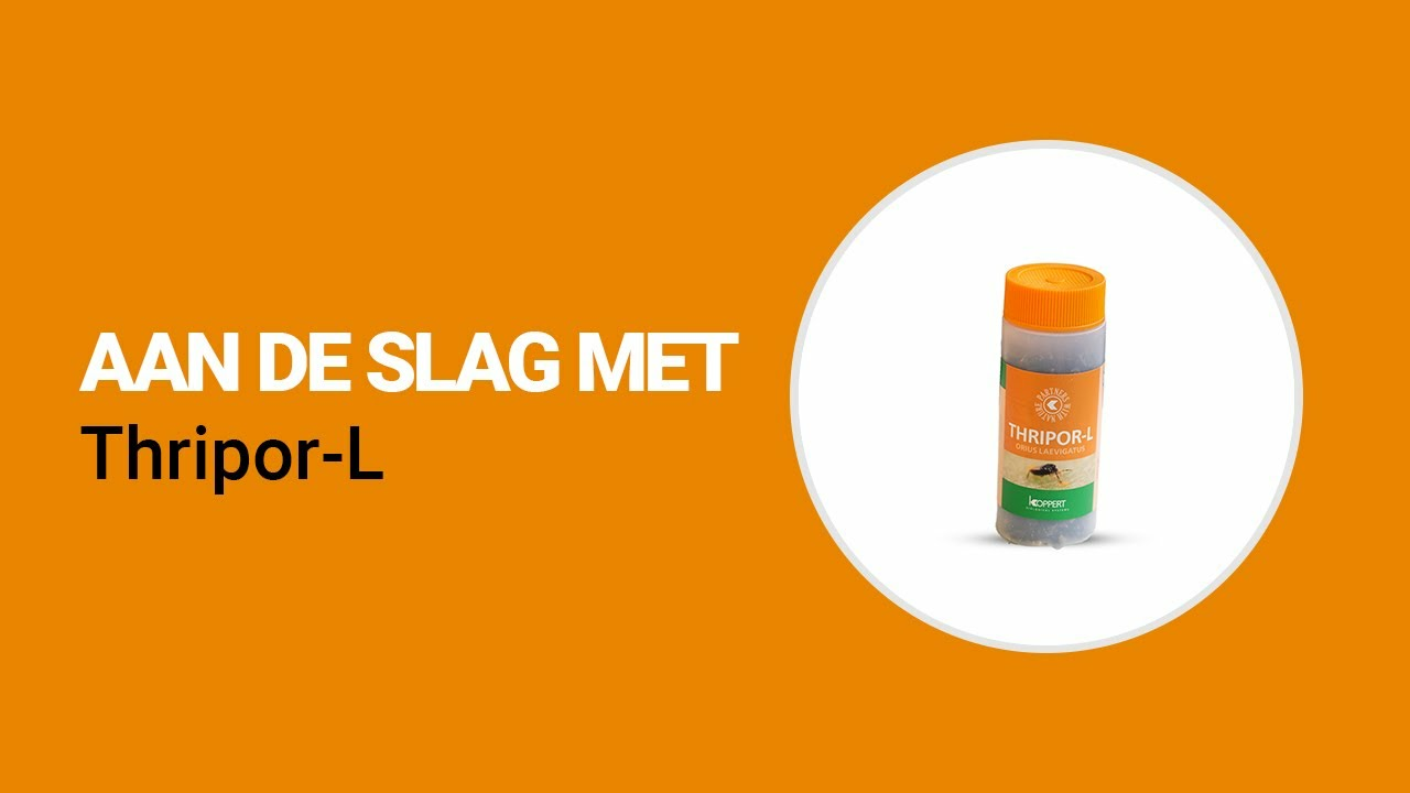 Aan de slag met Thripor-L van Koppert