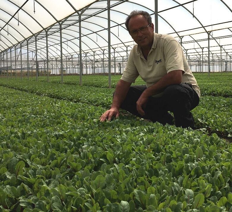 Uitstekende resultaten met Trianum-P. “De opbrengst is bovengemiddeld.”