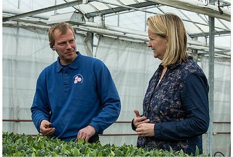 Duidelijke effecten van NatuGro in moeilijk te telen Skimmia’s