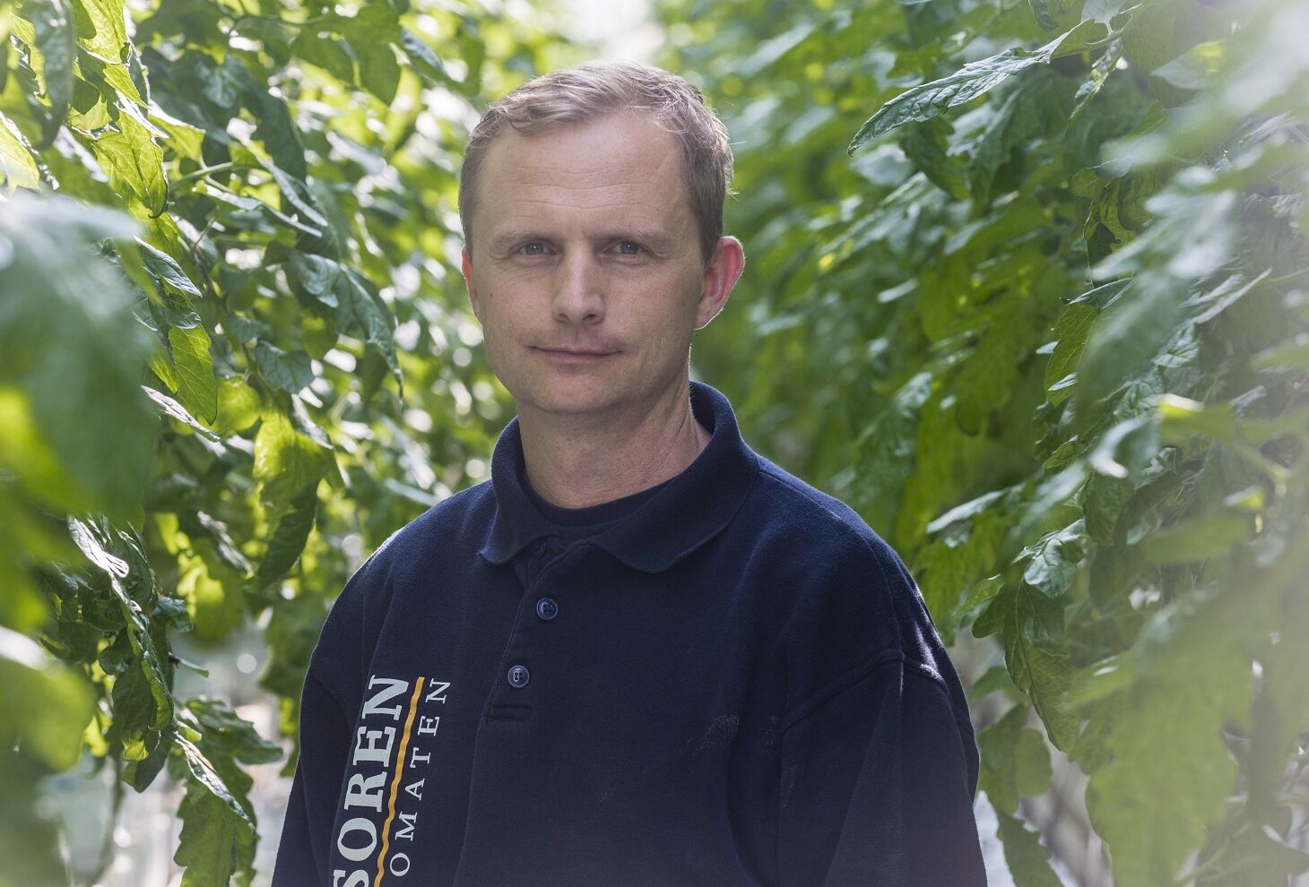 Opnieuw succes met residuvrije jonge tomatenplantjes