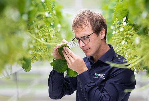 Partners met onze distributeurs!