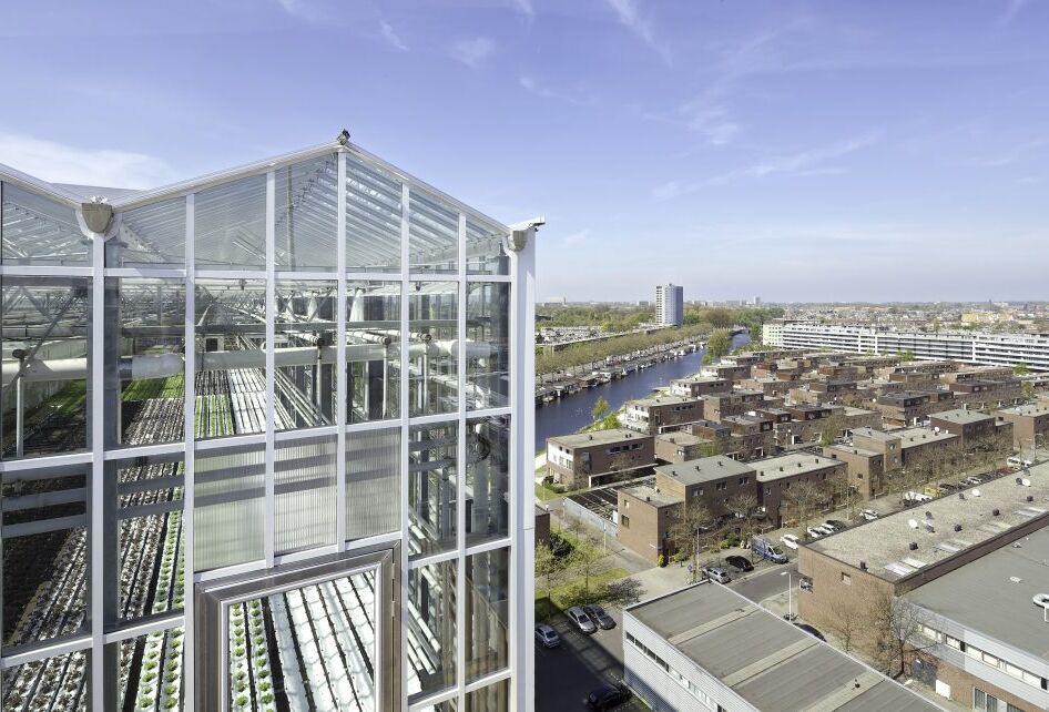 Koppert voorop in Urban Farming