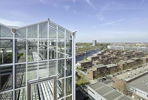 Koppert voorop in Urban Farming