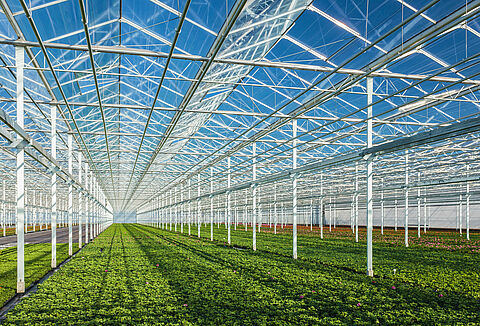 De jeugd heeft de toekomst