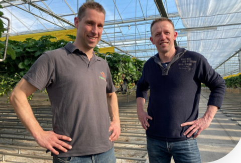 De Peelkroon BV: “Door onze aardbeiplanten te versterken met behulp van voeding zijn wij een betrouwbaardere leverancier geworden”