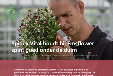 Spidex Vital houdt bij Emsflower spint goed onder de duim