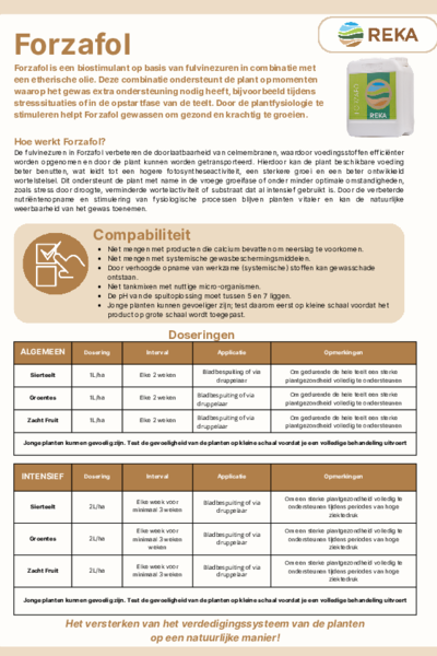 Flyer Forzafol