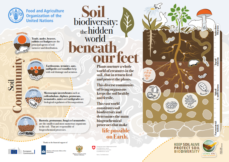 soil.PNG