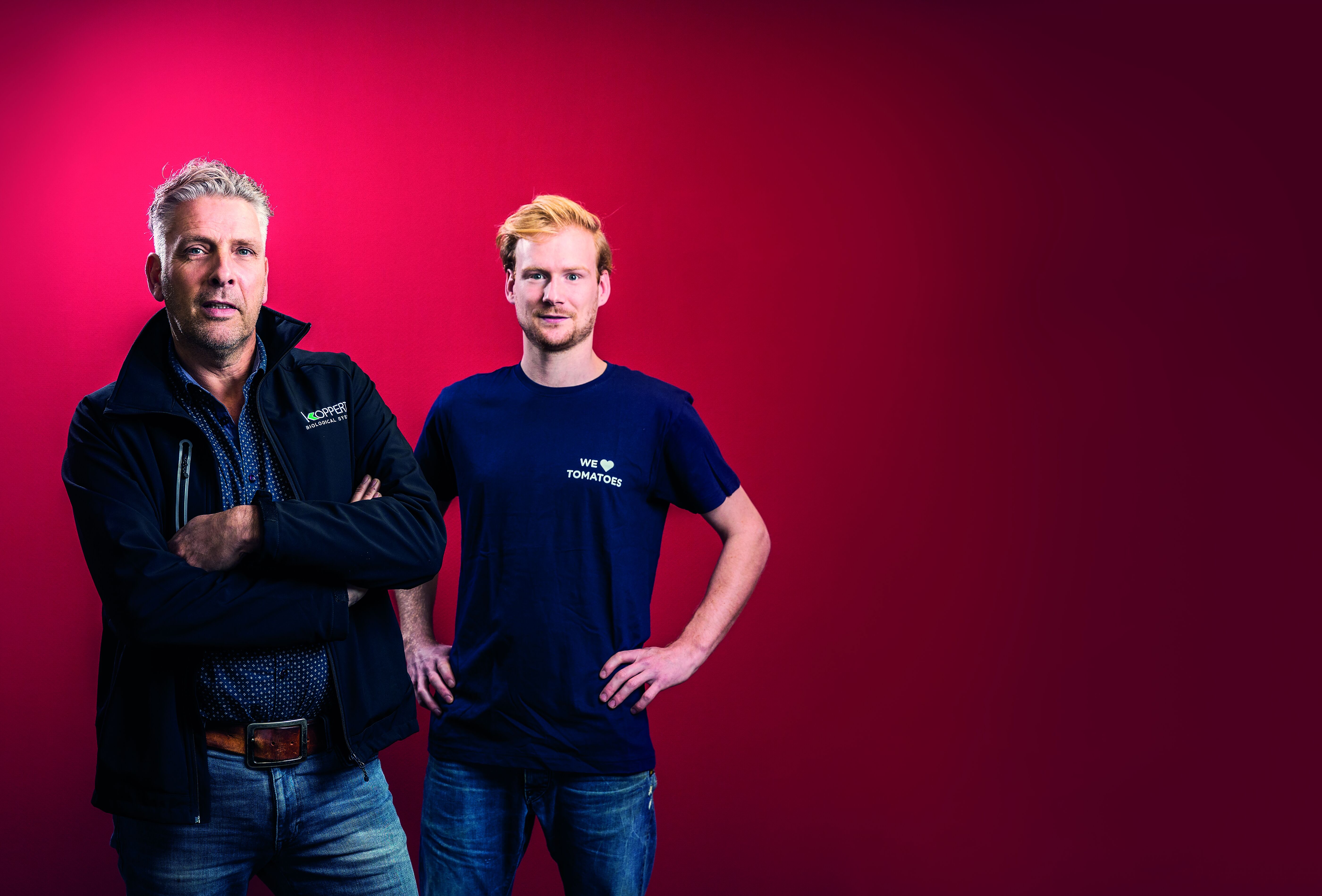 Onbelichte tomatenteelt voorbeeld voor belichte teelt