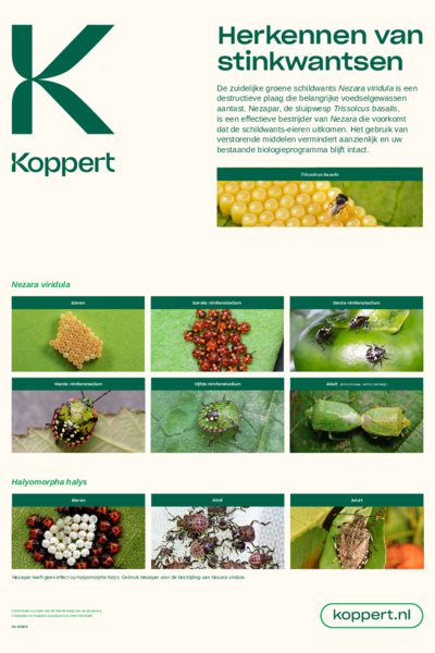 Nezapar Poster