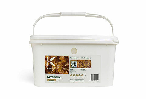 Artefeed