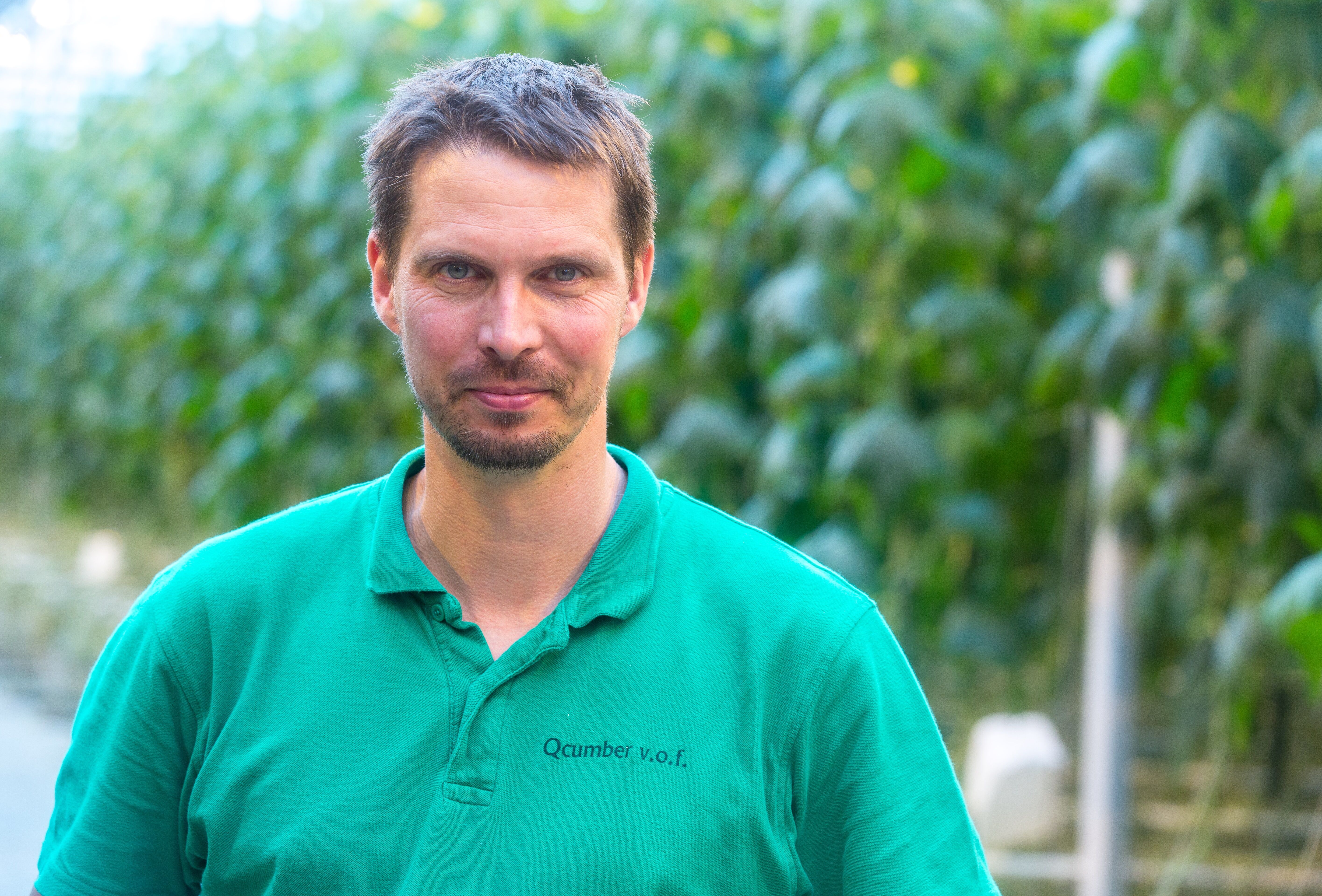 Aanzienlijk lagere druk van Pythium