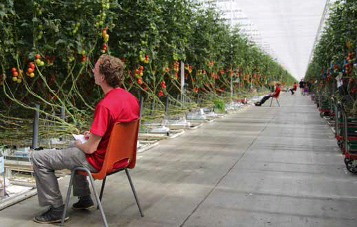 Meer winst uit hommelkast met slim openen en sluiten