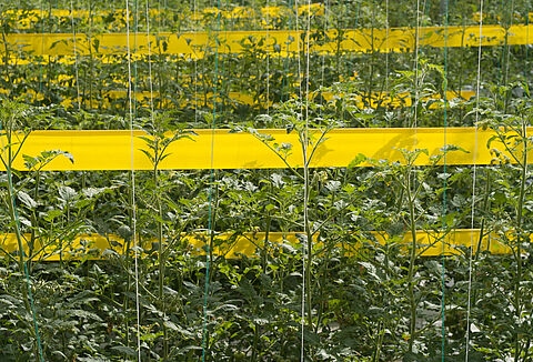 APT heeft de teler veel te bieden