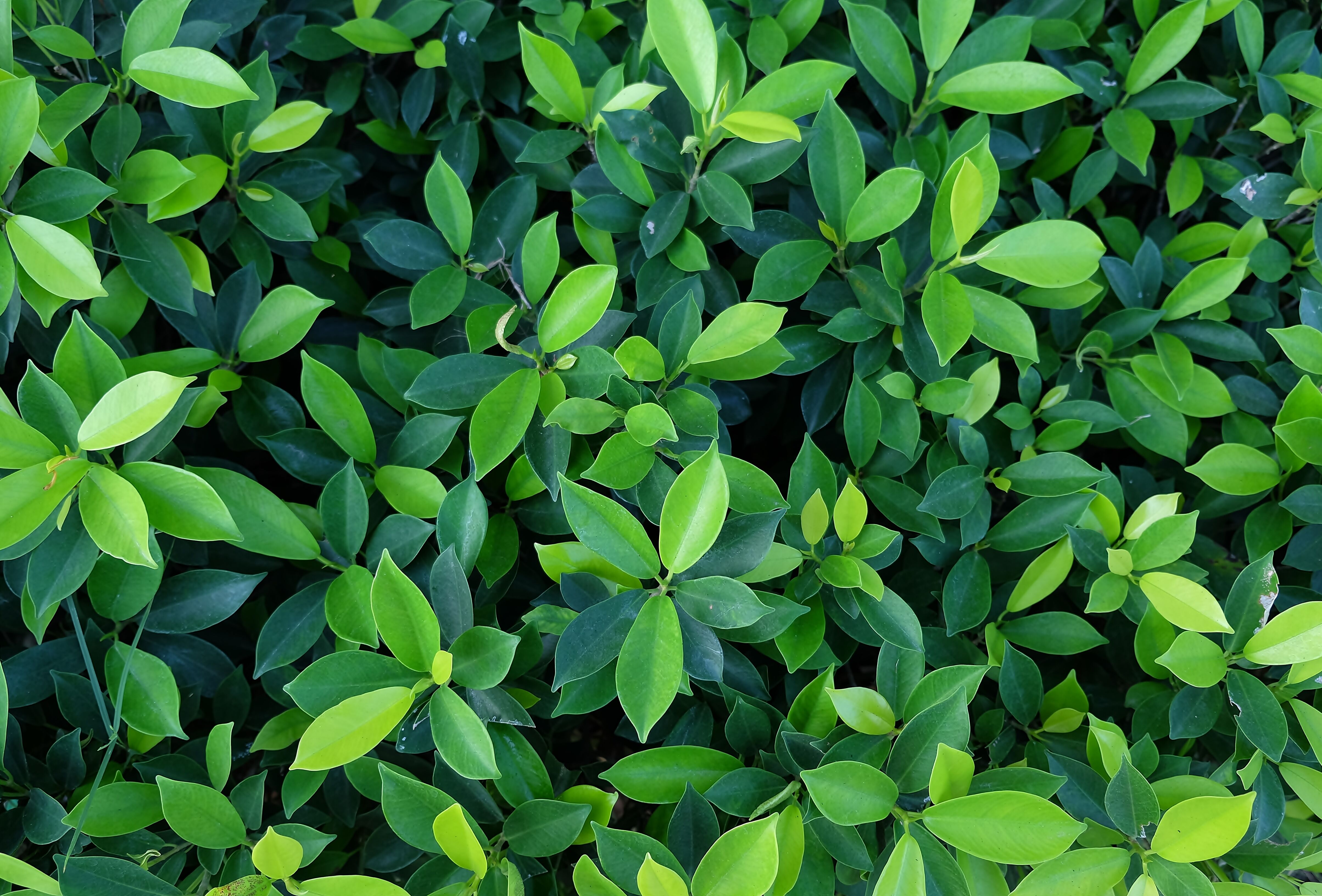 Groen starten bij de bron