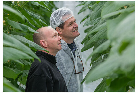Ad Verhoeven wil zijn klanten alleen maar een residuvrije snackkomkommer aanbieden