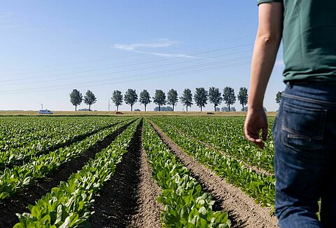 Teler Koen - Biologische gewasbescherming omarmen in de landbouw