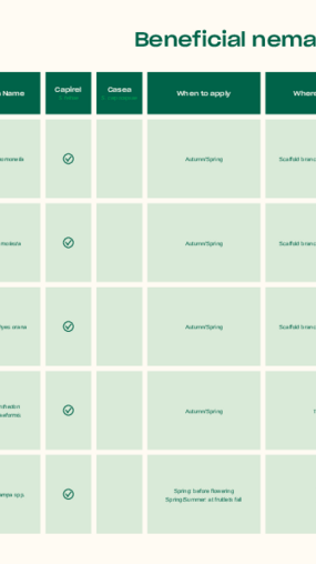 Target pests of beneficial nematodes in Top Fruits