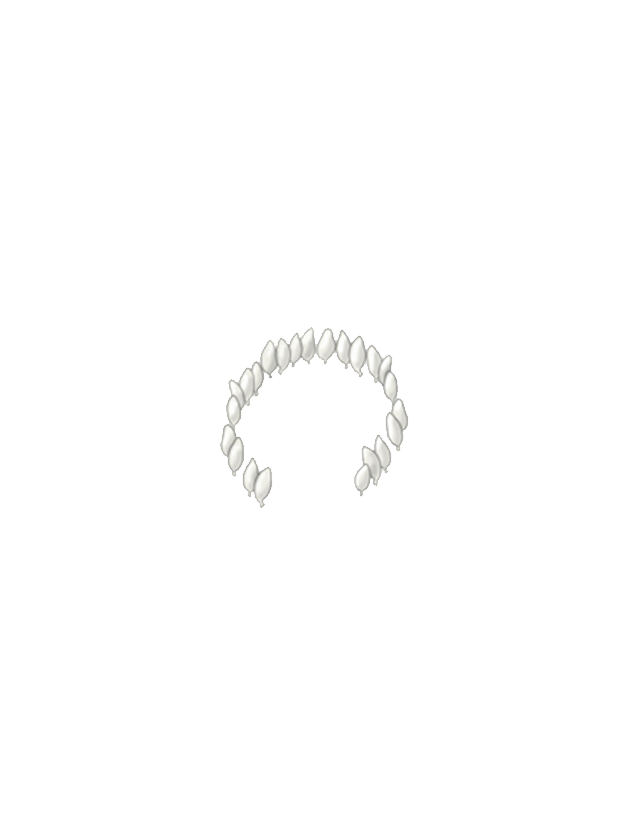 Greenhouse whitefly Trialeurodes vaporariorum egg circle