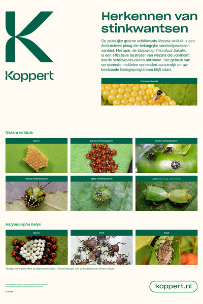 Nezapar Poster