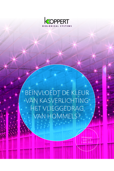 De invloed van kasverlichting op het vlieggedrag van hommels