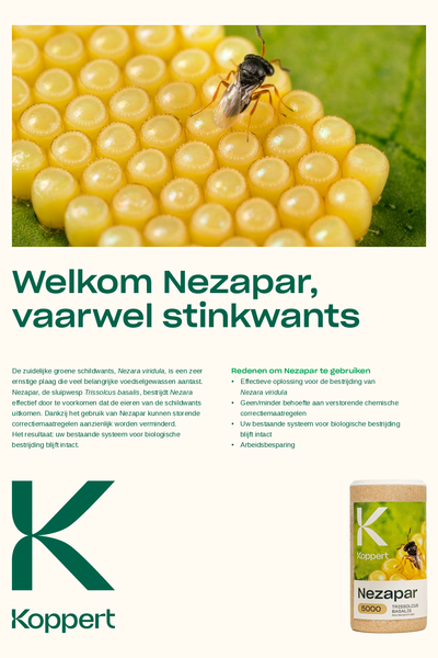 Effect van Nezapar